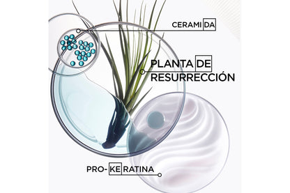 Masque Force Architecte