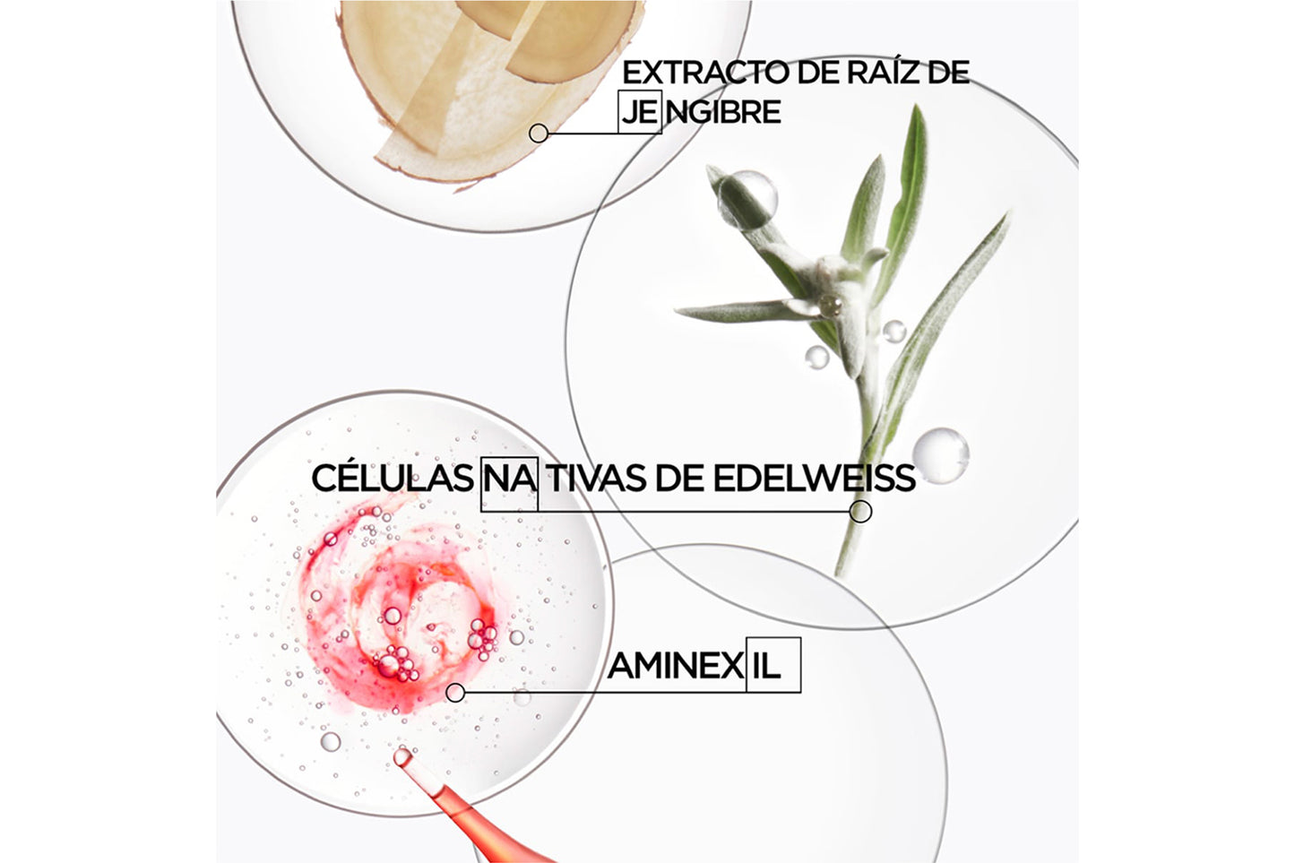 Masque Reconstituant