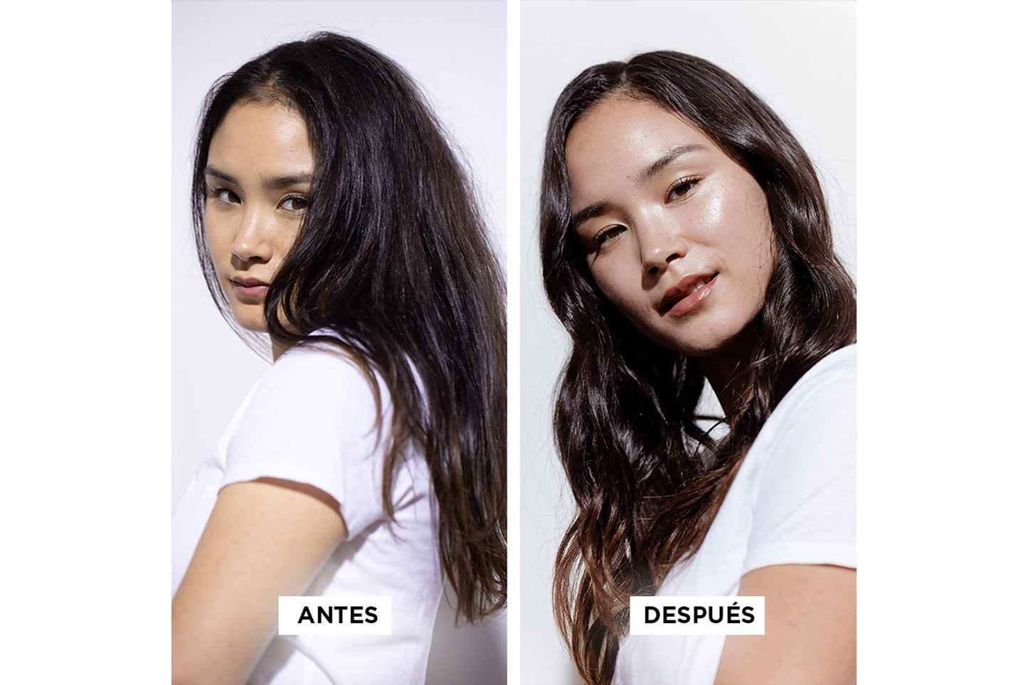 Fluide Defense Thermique Genesis