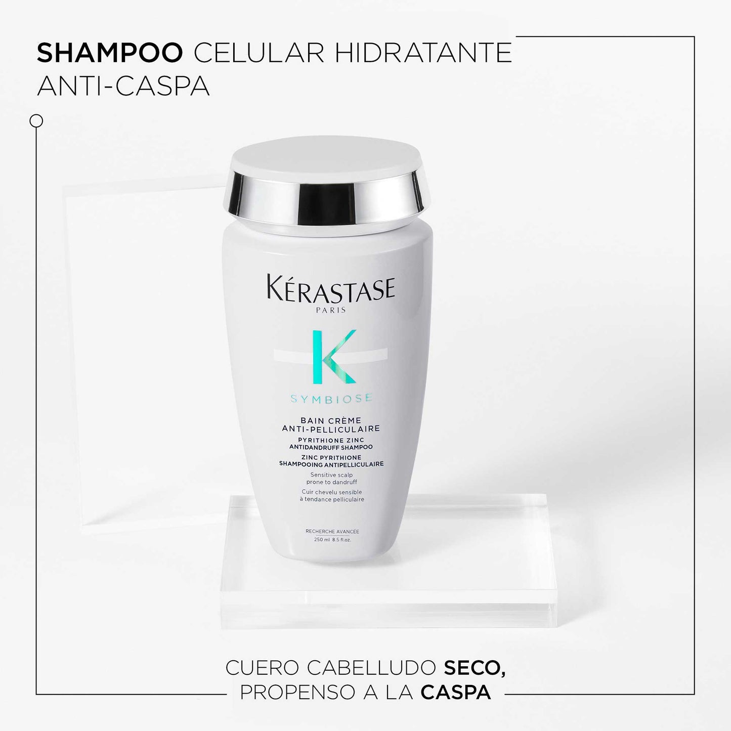 BAIN CREME ANTI-PELLICULAIRE