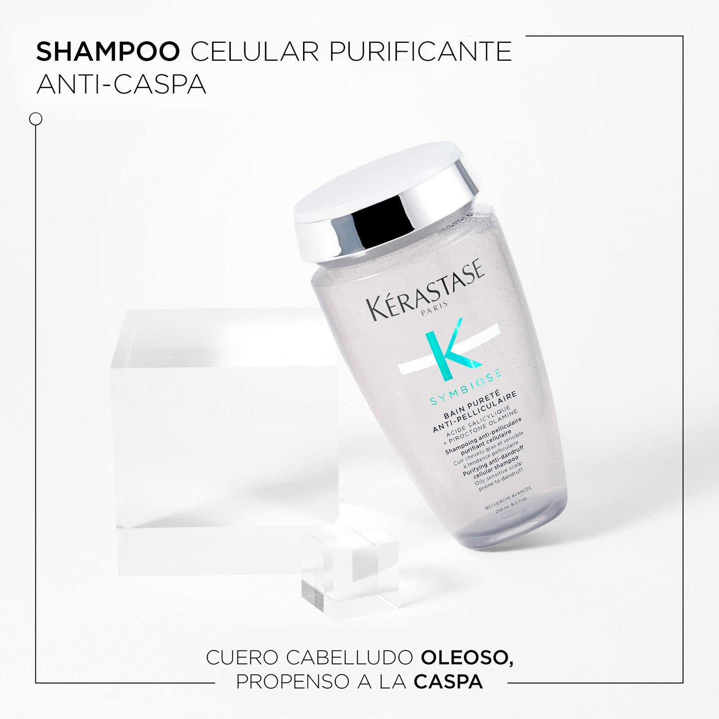 BAIN PURETE ANTI-PELLICULAIRE