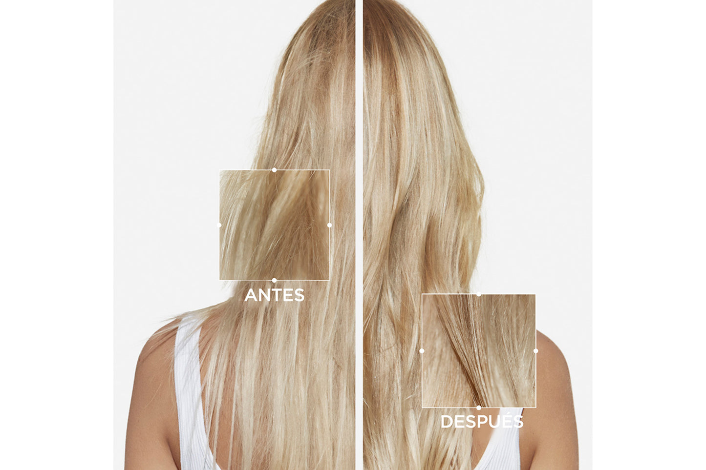 NUTRI-SUPPLEMENT SPLIT ENDS SERUM